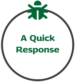 A quick response