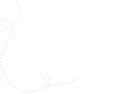 Insect flying