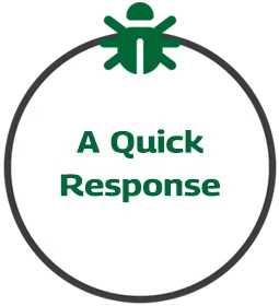A quick response